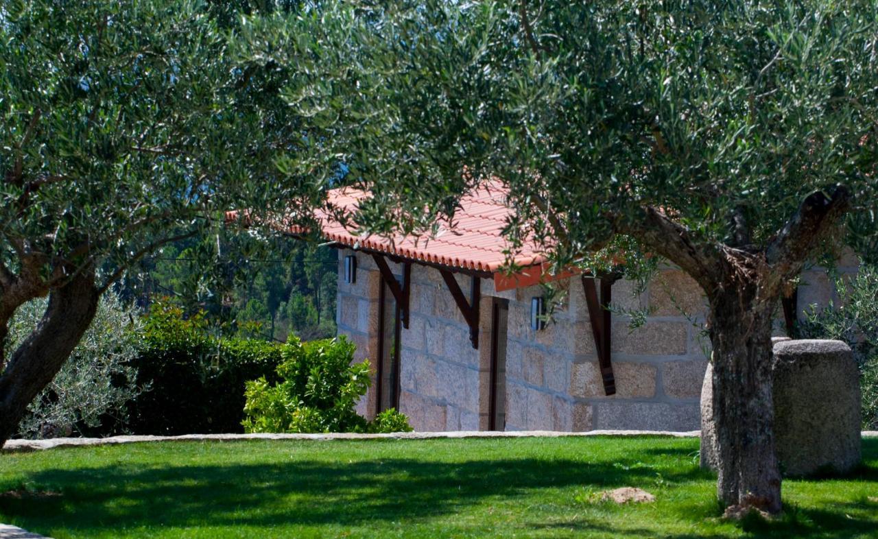 Quinta do Olival Vilas Boas (Villa Real) Exterior foto